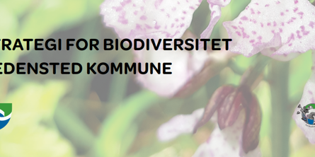 Forside - biodiversitetsstrategien