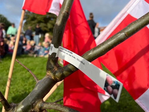 Plantedag Rask Mølle 2
